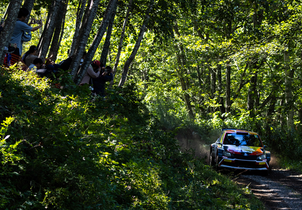 市川直久「おとふけの森」