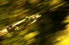 JRPA会員の田村 弥が撮影したスーパーフォーミュラ 第1戦 鈴鹿サーキットの写真4枚目