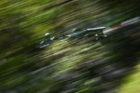 JRPA会員の田村 弥が撮影したスーパーフォーミュラ 第1戦 鈴鹿サーキットの写真1枚目